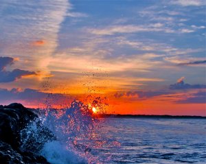 285831_1900022107397_1446997140_31635410_6052003_o